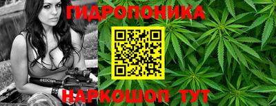 твердый Ставрополь